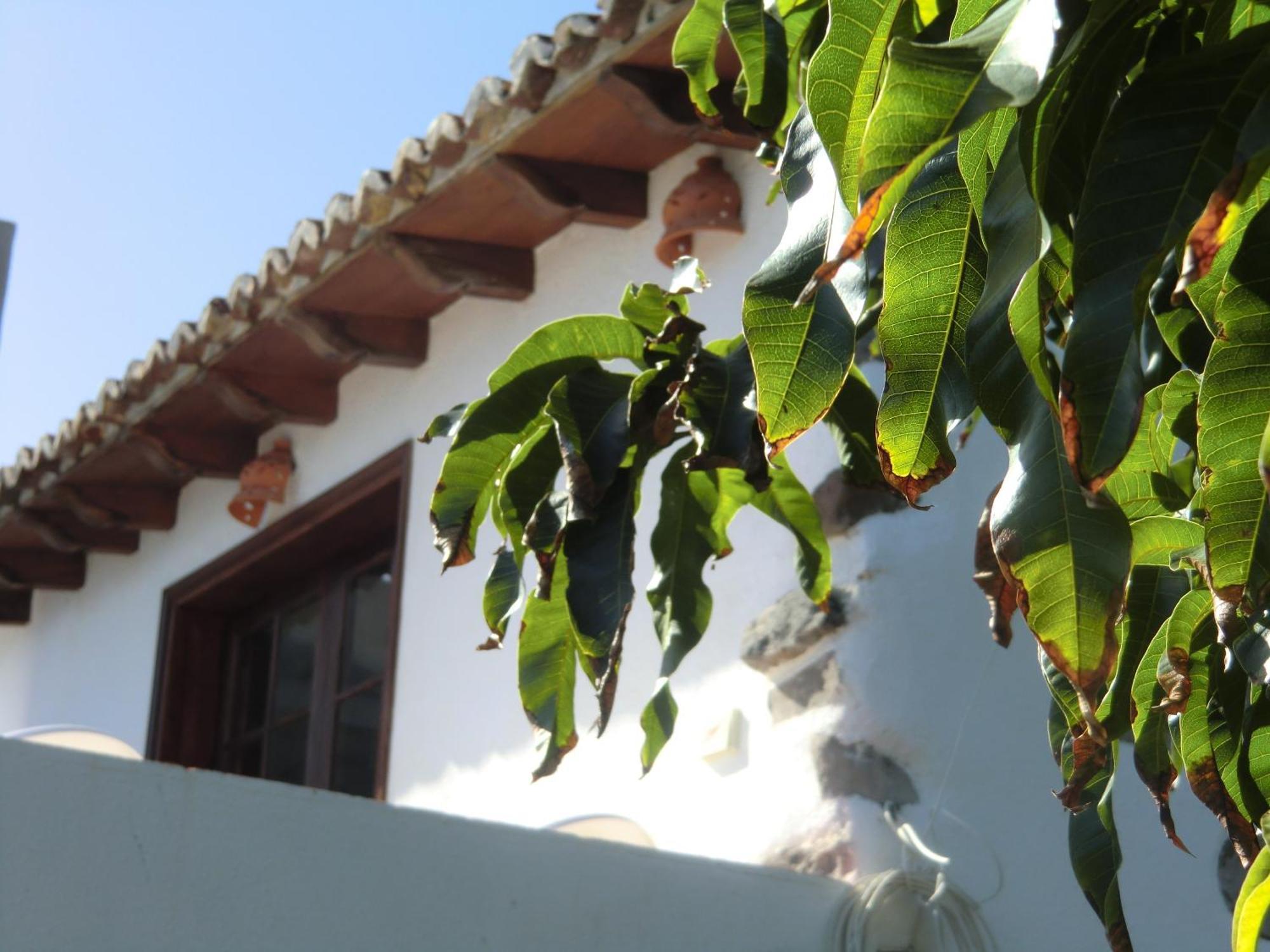 Villa Delfines Agulo Exterior foto
